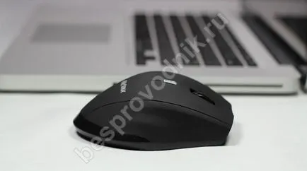 Nu este de lucru mouse-ul fără fir ce să facă pentru a câștiga