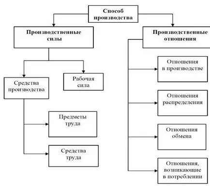 Социално производство и неговите фази