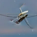 Descrierea speciilor de insecte Strider apă decât iaz hrănite și cum să se uite, fapte interesante