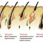 Грешки в Shugaring и тяхното отстраняване