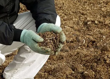 Jellemzői feldolgozás csirke trágya komposztba