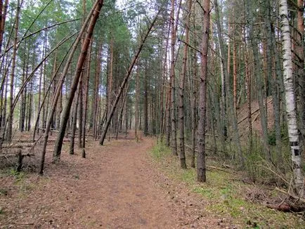 Доклад за пътуването с кола - част 1, в целия свят на колела