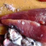 Paraziták rózsaszín lazac fotó férgek, hogyan kell a füst és a sózott halat, hogy megöli bélférgek