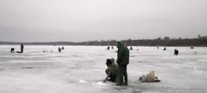 Bitter-Lacul Sărat - lacuri din regiunea Chelyabinsk