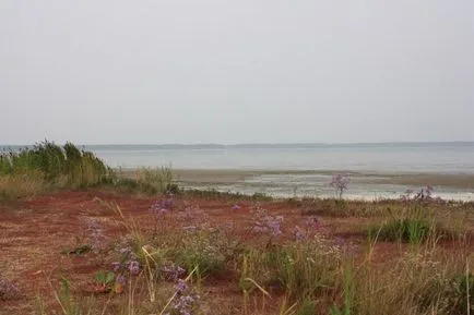 Bitter-Lacul Sărat - lacuri din regiunea Chelyabinsk