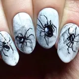 Spider върху ноктите (снимка идеи за дизайн)