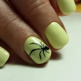 Spider върху ноктите (снимка идеи за дизайн)