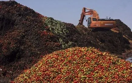 Alimente de reciclare a deșeurilor, eliminarea, prelucrarea