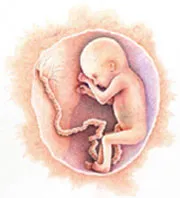 De ce se întâmplă avort spontan, sarcina si nastere, sarcina