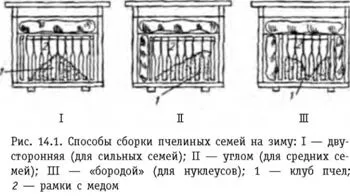 Подготовка на пчелите и кошерите за зимата - най-важните правила