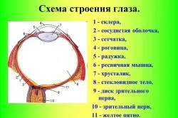 Как за лечение на сухо око