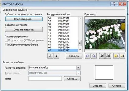 Как бързо и лесно да създадете фотоалбум в PowerPoint 2007 блог Илона Semakin