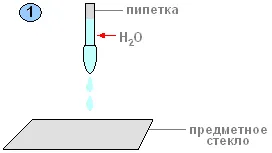 Практическа работа 