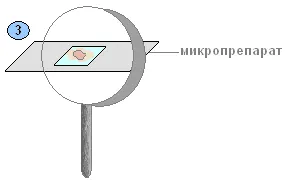 Практическа работа 