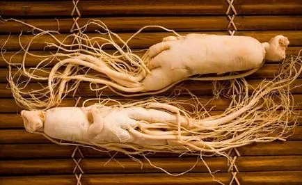 A használata ginseng olaj kozmetikumokban, a használata