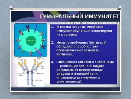 Презентация на урока за биология имунитет