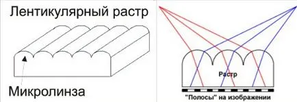 Прав стерео-варио печат - специален доклад във фермата