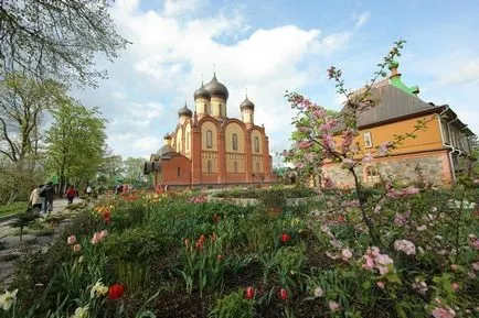 Pühtitsa Szent Nagyboldogasszony stauropegic zárda