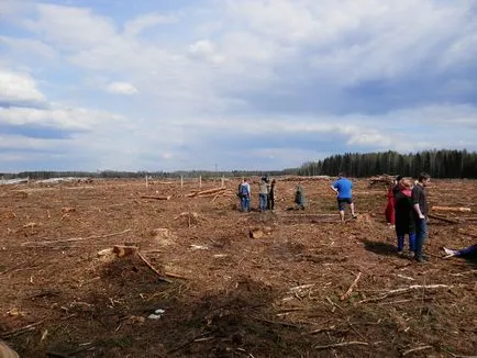 Tekintse meg a bejegyzést - povarovtsy rájöttek, hogyan kell menteni az erdő