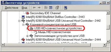 Gyorsítás USB egér használatával hidusbf programot
