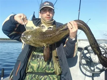 Риболов в Онежко езеро - риболов в България и по света