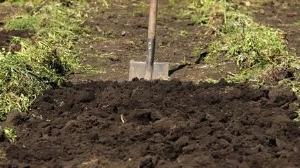 A titok a gyors előállítását magágy manuális eszközökkel