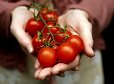 Familia Solanaceae