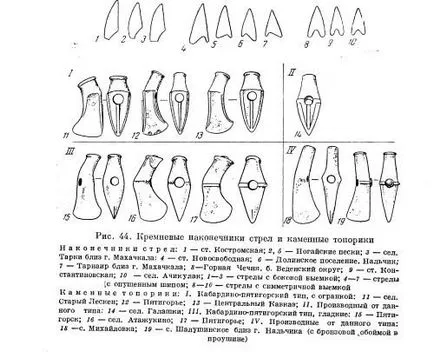 Cultura Caucazian de Nord, fondul genetic al Federației Ruse