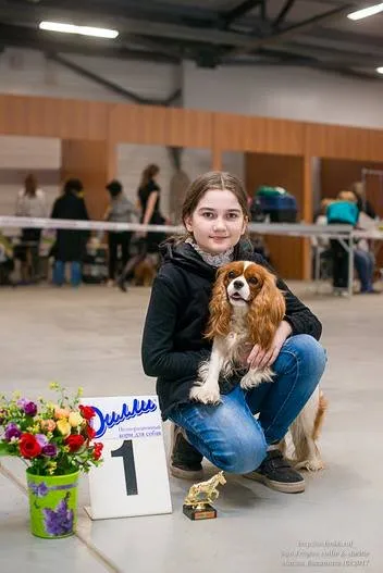 ascultare școlară în fabricile de cherestea mici sfls