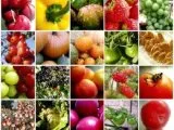 Суровини и варени зеленчуци, отколкото полза, martcom - концентрирани сокове, плодове и зеленчуци, пюре от
