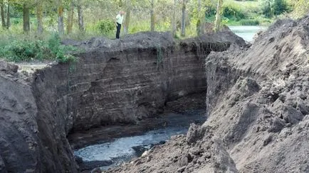 Drain брои в бизнеса