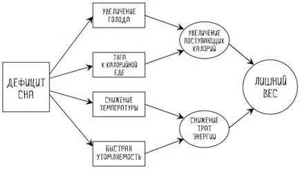 Hogyan alváshiány tesz minket kövérebb