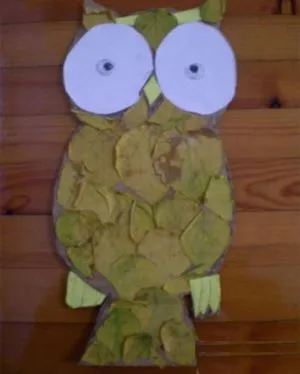 frunze de Owl