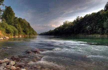 Tanácsot választott helyet ponty csali, és szembeszáll a