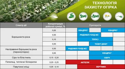 uborka termesztés technológia (például hibrid Ecole f1)