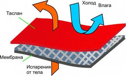 descrierea tesatura Taslan, în special în cazul în care este utilizat