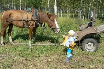 В количка-концерт със собствените си ръце