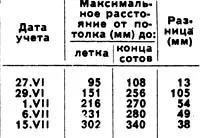 Устройството и местоположението на чешмяна дупка в кошера