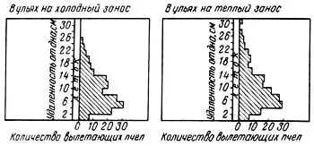 Устройството и местоположението на чешмяна дупка в кошера