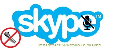 Вие не можете да чуете на микрофона Skype не работи в Skype, за да реши проблема