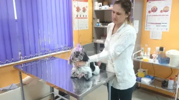 clinica veterinara Marino bio-veterinar