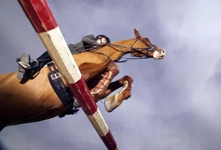 Típusai lovas verseny, lovastusa díjlovagló díjugrató versenyek Iskola Riding