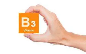 Витамин B3 (п.п.) - който съдържа това, което си роля в организма