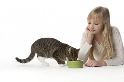 Ártalmas macskaeledel - mit és miért