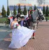 Резервирайте екипаж на коне, понита, сватба или рожден ден в квартал Stupino и Kashira