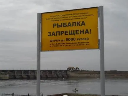 Забраната за риболов, ефективният начин, Съвета, рибата прогнозния улов, аквариумни рибки