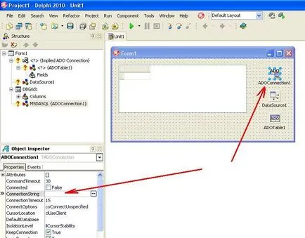 008 - Baza de date Exemplu de conectare de acces Microsoft la cerere Delphinus, bestprog