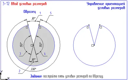 абсолютна координатна система