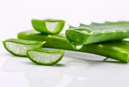 Aloe utilizarea psoriazis, contraindicații, tratament