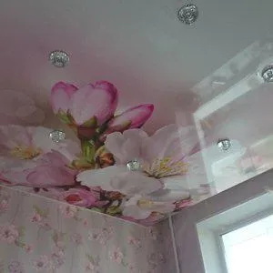 Artstil ООД, компанията окачени тавани в Новосибирск широк, 36 - прегледи, адрес, телефонен номер,